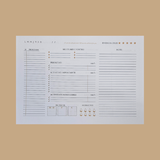 DAILY PLANNER FORMAT A4 ORIZONTAL - NEGRU